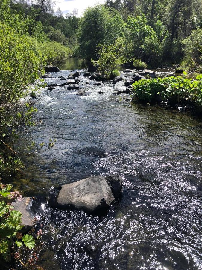 Bear Creek Falls Lodge On 67 Acres Creek & Waterfalls Millville Exterior foto